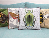 Rose Chafer Beetle Tapestry Kit, Cleopatra's Needle