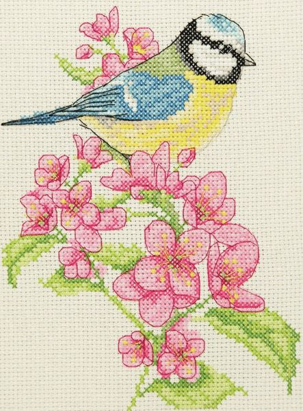 ANCHOR Kit De Broderie Au Point De Croix Pour Débutant : Spray Floral, 23 X 16 Cm, Multicolore