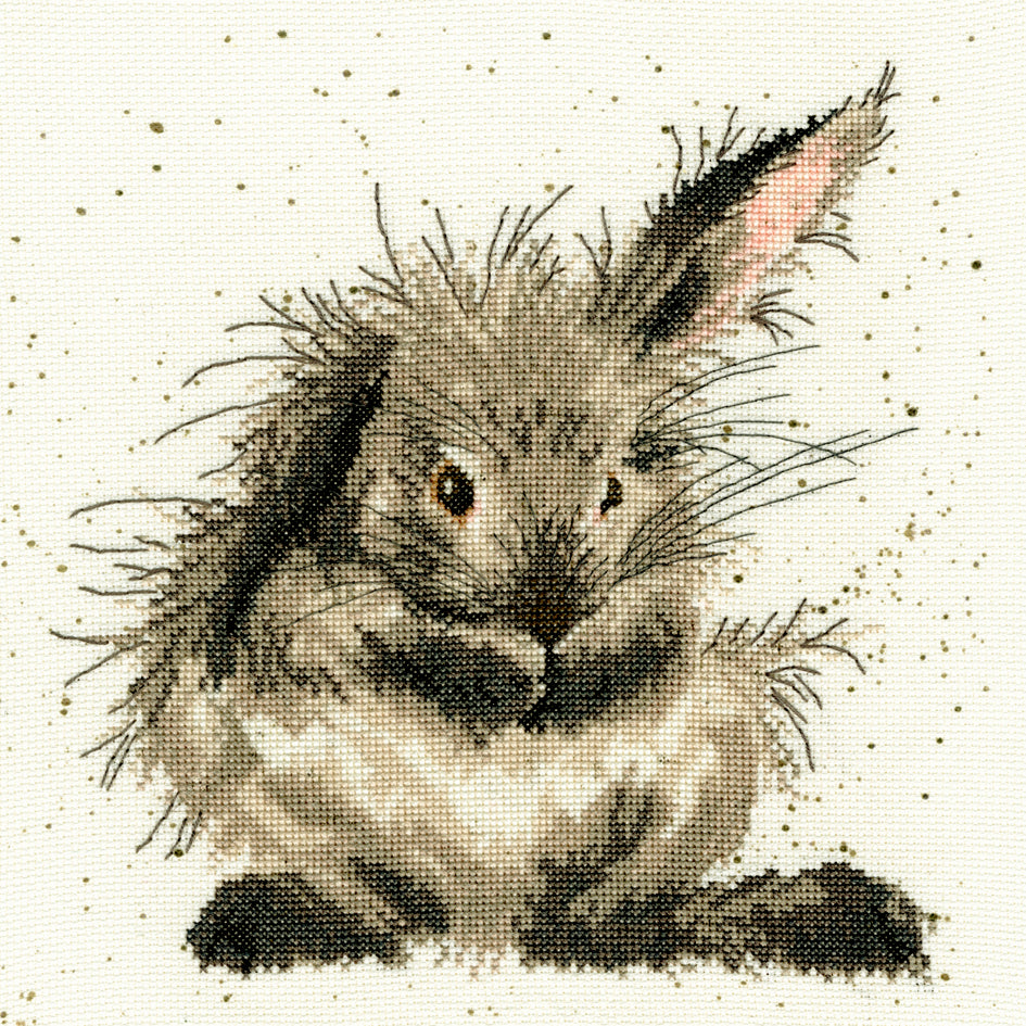 Bothy Threads Jolly Robin Wrendale Hannah Dale gezählt Cross Stitch Kit 26x26cm XHD5