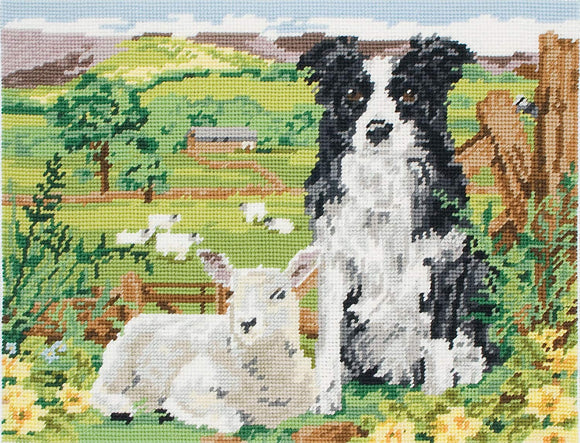 Border Collie and Lamb Tapestry Kit, Needlepoint Anchor MR7004