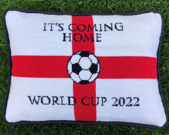 England Football World Cup 2022 Tapestry Kit, Designer's Needle