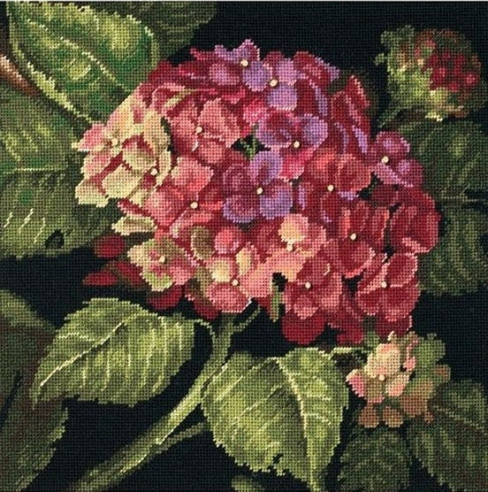 Hydrangea Bloom Tapestry Needlepoint Kit, Dimensions D20053