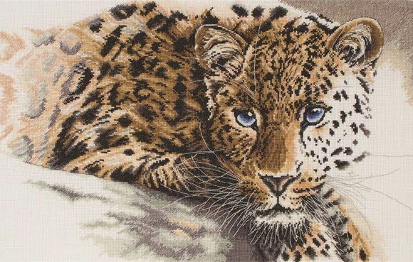 Rare Beauty Leopard Cross Stitch Kit, Maia 5678000-1321