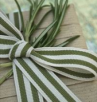 Sage Green and Cream Stripe Grosgrain Ribbon -15mm