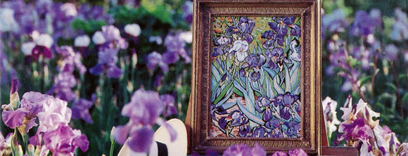 Glorafilia Irises Tapestry Needelpoint Kit