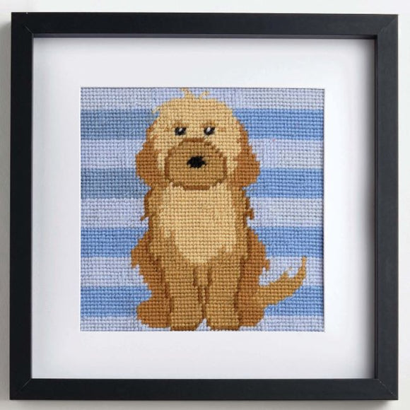 Cockapoo Tapestry Kit, Needlepoint Starter, Anchor 20008