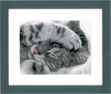 Cute Kitten Cross Stitch Kit, Vervaco PN-0165499