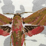 Elephant Hawk Moth Tapestry Kit, Cleopatra's Needle