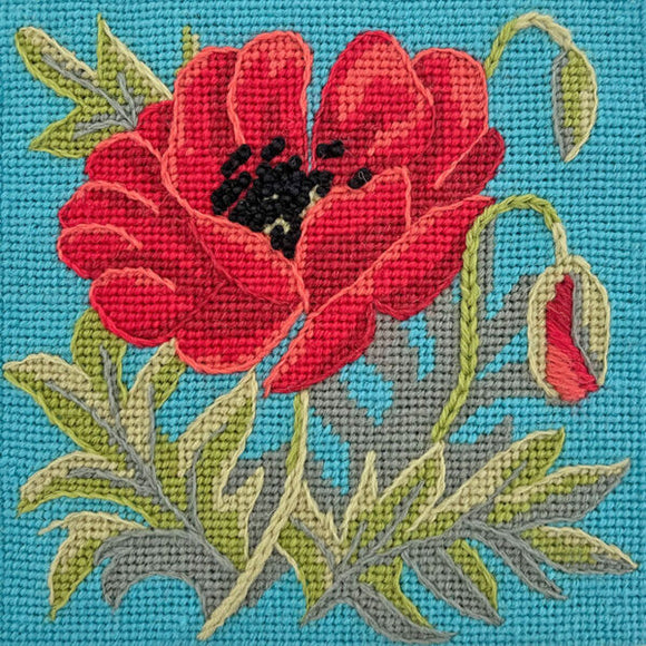 Poppy on Turquoise Glorafilia Needlepoint Kit
