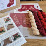 Snowflake Christmas Stocking Tapestry Kit, Appletons
