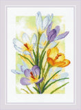 Spring Glow Tulips Cross Stitch Kit Riolis R2191