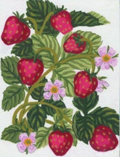 Strawberries Tapestry Kit, Collection D'Art CD3161K