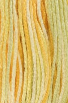 Anchor Stranded Cotton Thread - Multicolour 1304