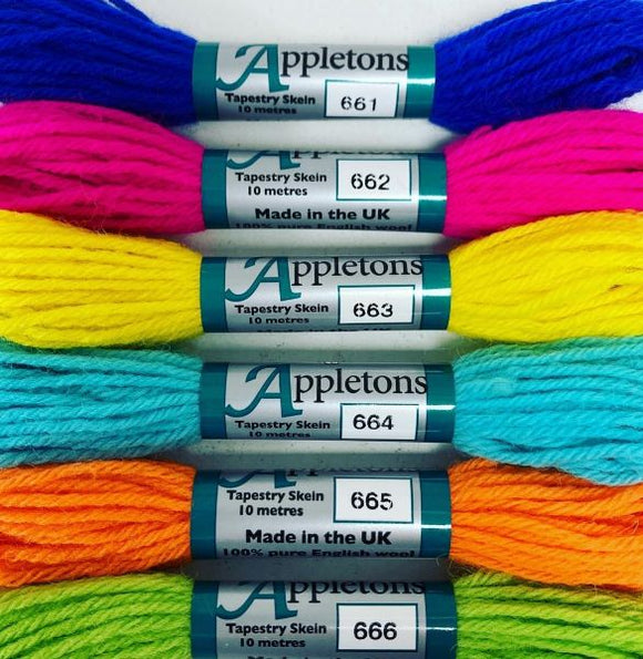 Appleton Tapestry Wools - Cool Neon Set, 10m Skeins 661-666