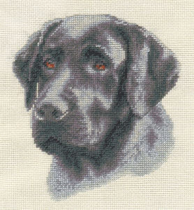 Black Labrador Cross Stitch Kit, Panna J-1475