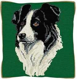 Border Collie CROSS Stitch Tapestry Kit, Brigantia Needlework C1840