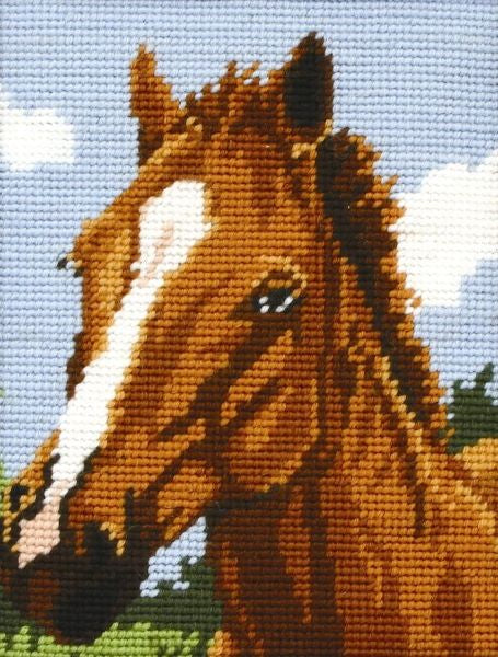 Brown Horse Tapestry Kit, Needlepoint Starter, Anchor MR929