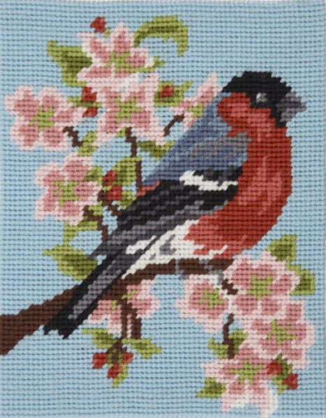 Bullfinch Tapestry Kit, Needlepoint Starter, Anchor MR201