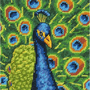 Colourful Peacock Tapestry Needlepoint Kit, Dimensions D71-07242