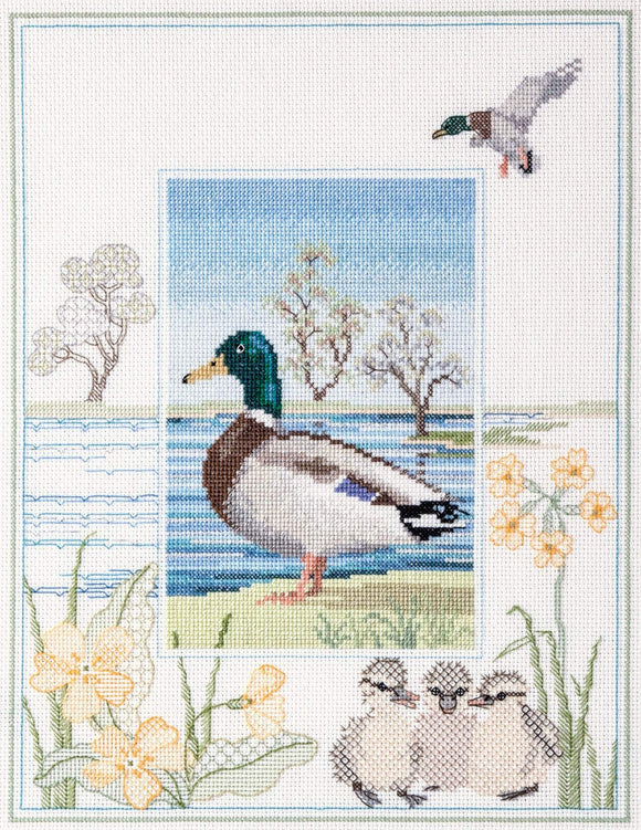 Mallard Duck Cross Stitch Kit, Blackwork Kit, Derwentwater Designs WIL8