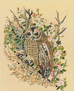 Embroidery Kit Tawny Owls, Design Perfection E202