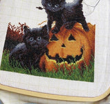 Did We Scare You Cross Stitch Kit (Luca-s) LetiStitch LETI964