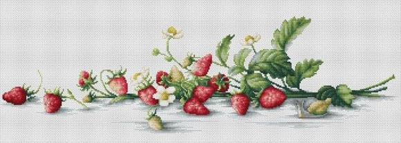 Etude with Strawberries Cross Stitch Kit Luca-s B2266