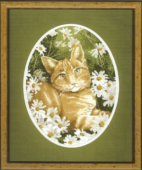 Ginger Cat Cross Stitch Kit, John Stubbs, Heritage Crafts