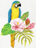 Hibiscus Macaw PRINTED Cross Stitch Kit, Needleart World N440-098