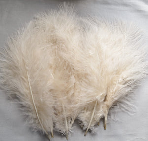 Marabou Feathers, Luxury Marabout Feathers - Premium Champagne x 12