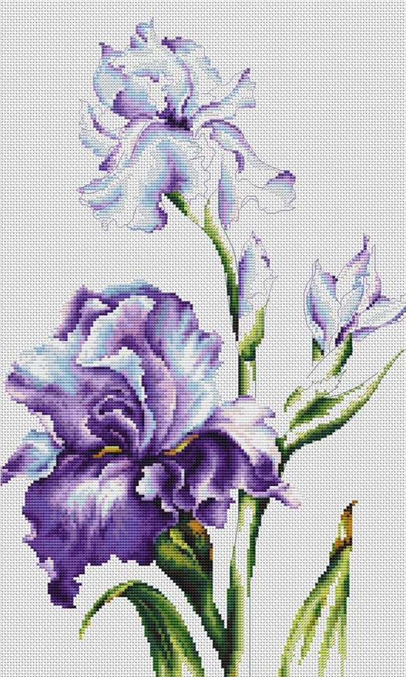 Purple Iris Cross Stitch Kit Luca-s B2251