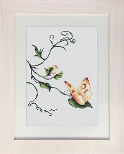 Butterfly, Delicate Touch Counted Cross Stitch Kit, Luca-s B2243