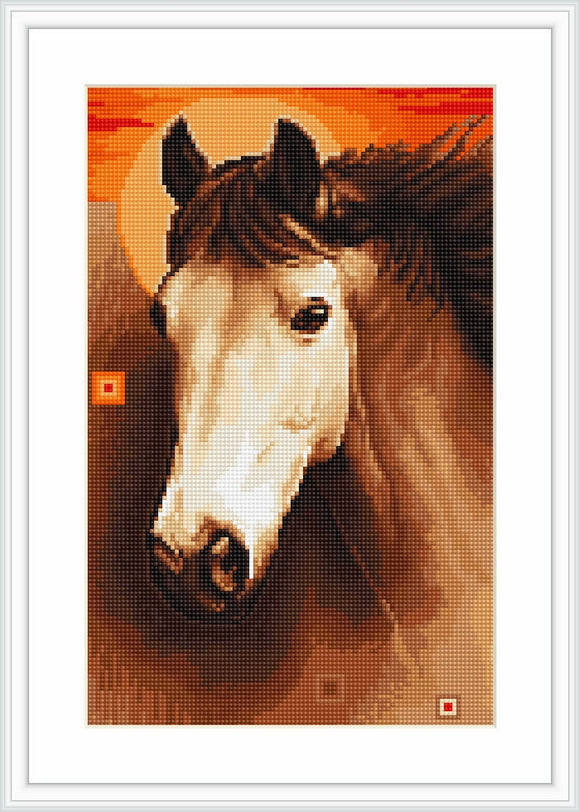 Petit Point Kit Horse, COUNTED Half Cross Stitch Kit Luca-s G509