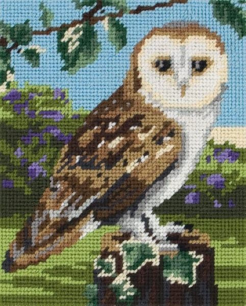 Owl Tapestry Kit, Needlepoint Starter, Anchor MR951