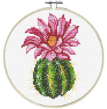 Pink Cactus PRINTED Cross Stitch Kit, Needleart World N240-062