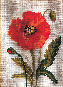 Poppy Tapestry Kit, Needlepoint Starter, Anchor MR911