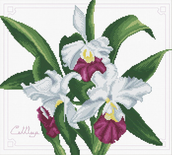 Cross Stitch Kit Orchid Bouquet, NO-COUNT Printed Cross Stitch Kit N340-009