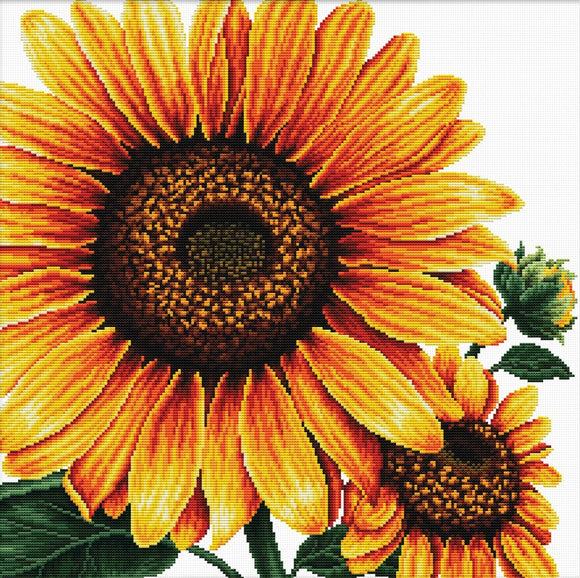 Cross Stitch Kit Sunflower, NO-COUNT Printed Cross Stitch Kit N640-085