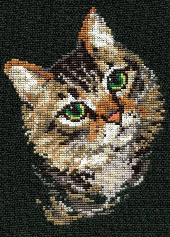 Colourful Tabby Cat, Counted Cross Stitch Kit Riolis R766
