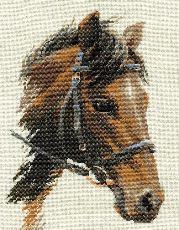 Cross Stitch Kit Bulat Horse, Counted Cross Stitch Kit Riolis R826