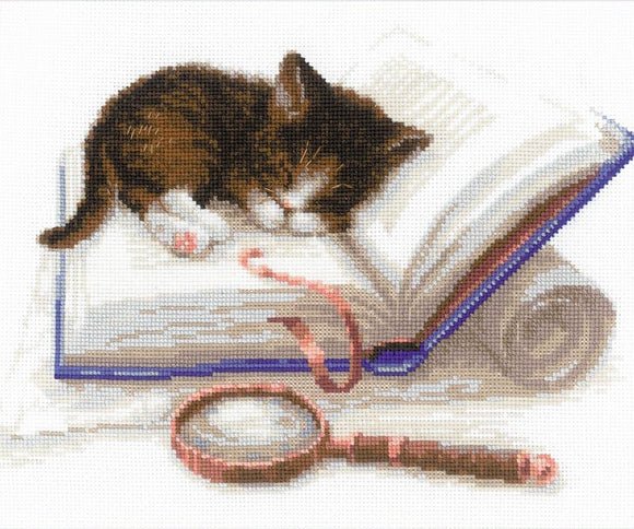 Cross Stitch Kit Kitten on a Book, Counted Cross Stitch Riolis R1725