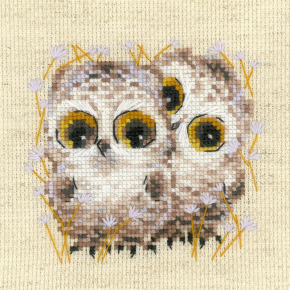 Cross Stitch Kit Owls, Counted Cross Stitch Riolis R1755