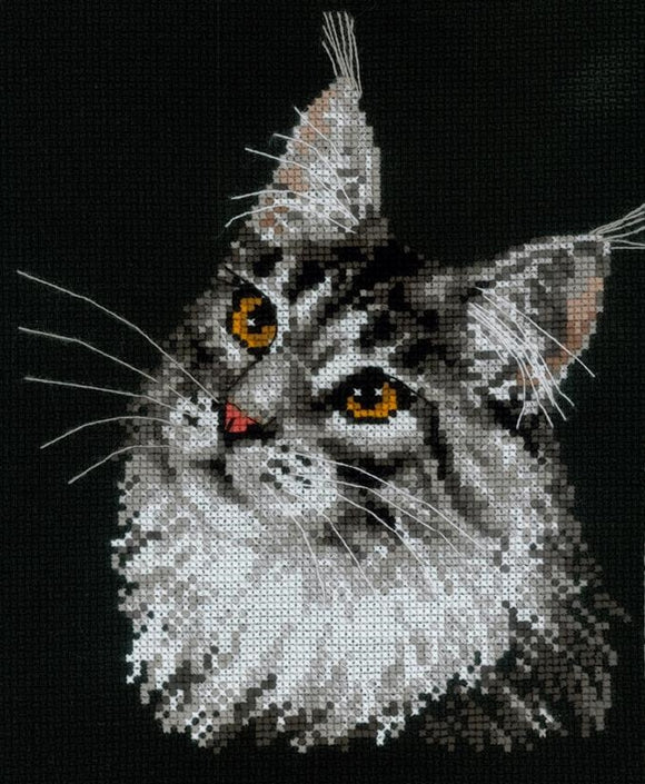Cross Stitch Kit Maine Coon Cat, Counted Cross Stitch Kit Riolis R1599