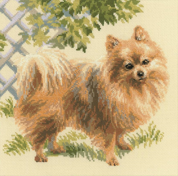 Cross Stitch Kit Pomeranian, Counted Cross Stitch Kit Riolis R1585