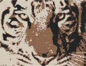 Tiger Stare Cross Stitch Kit - Elements Tiger Cross Stitch FS