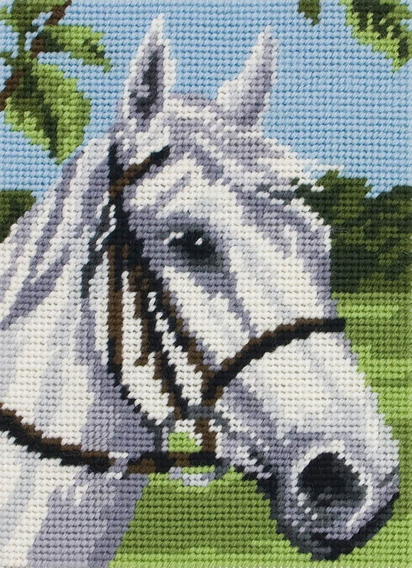 White Horse Tapestry Kit, Needlepoint Starter, Anchor MR958