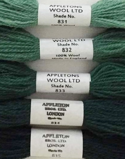 Appleton Tapestry Wools - Bright Peacock Set, 10m Skeins 831-835
