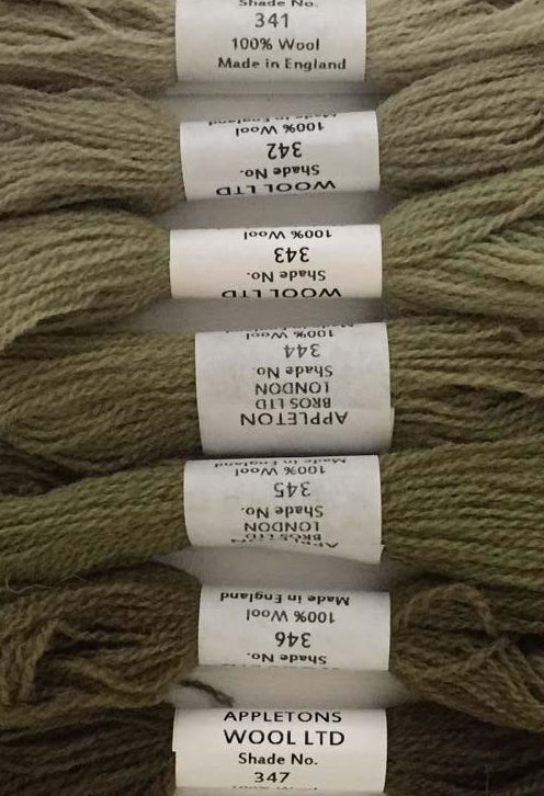 Appleton Tapestry Wools - Mid Olive Green Set, 10m Skeins 341-348