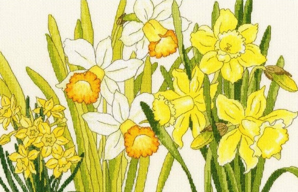 Daffodil Blooms Cross Stitch Kit, Bothy Threads XBD10
