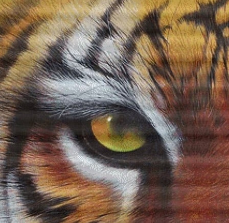 Eye of the Tiger, Large Counted Cross Stitch Kit - David Finney